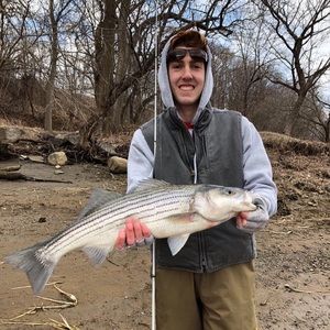 Meet your Posher, James